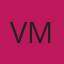 Virtual Mind