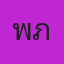 พี ภังคี