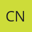 Chip Norris logo