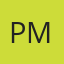 Performance Mobile logo