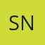 Suwanee Auto Glass Network logo