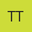 The Tint Techs- logo