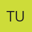 Tint Unlimited logo