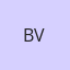 Bloom Varin