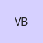 Vincent Berdoulle