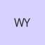 Wei Yi