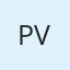 Pankhil Vekariya