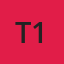 T1