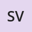 Saginaw Valley State Cardinals