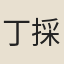 丁採芝