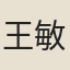 王敏政