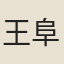王阜民
