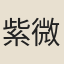 紫微孫處士
