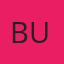 Bride - Boston MSc (NY, USA)
