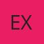 Expertint logo
