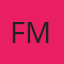 Finn Mototech logo