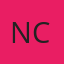 Nelson's Glass Co logo