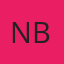 Niebling Auto Body logo