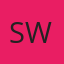 Southern Windshield logo