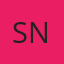 Suwanee Auto Glass Network logo
