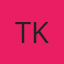 Tint King logo