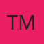Tint Masters logo