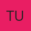 Tint Unlimited logo