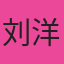 专家刘洋