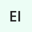 EFNA YULITA S. Pd. I