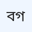 বায়োনিক গবেষণা