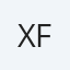 xfs.bxss.me