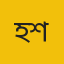 হাসান মাহমুদ শুভ 