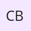 Col (Dr) D Bandyopadhyay