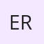 Er. R. Sai Sharan Reddy