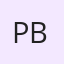 Prof. Bharat Bhushan