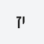 זיוה