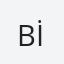 BİLGİÇ