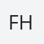 Flavio Henrique