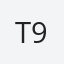 T9698VDinfo