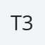 TORNEIO 15$ 3.0*