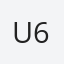 U63