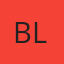 Baker Auto Enterprises LLC logo