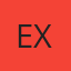 Expertint logo