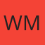 Windshields Mobile logo