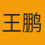 分析师王鹏