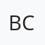 BB BUS COMPANY