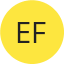 Efiservice