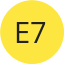 Erica-74