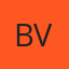 Bachman Auto Glass of Virginia logo