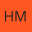 Houston Car Side Mirror logo